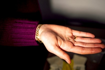 Terapia prin expunere adresate unei fobii poate avea efect și asupra unei fobii din altă sferă