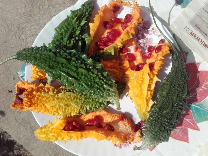 Importanța anumitor soiuri de cucurbitacee în îmbunătățirea sănătății - revizuire