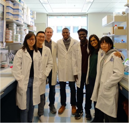 O nouă terapie reprogramează celulele imune, micșorează cancerele de prostată și vezică urinară în studiile pe animale