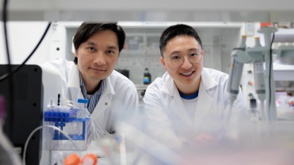 Picăturile sublinguale se absorb ușor și eficient, potențial înlocuind injecțiile cu insulină