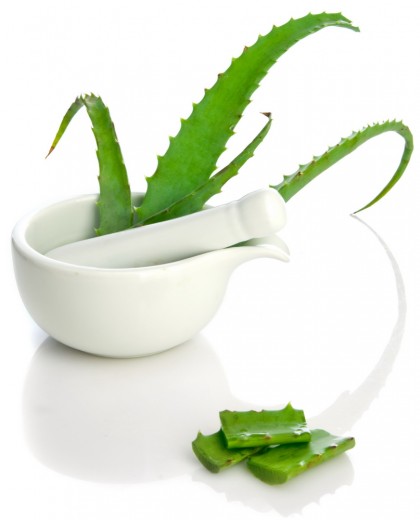 Aloe vera - o revizuire extinsă axată pe studii recente