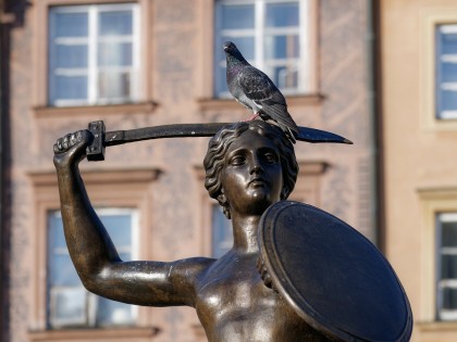 Noile variante H5N1 eludează anticorpii umani mai eficient (modelare computațională la scară largă)