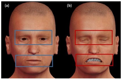 Sistem vizual de avertizare timpurie asupra declinului sănătății bazat pe AI
