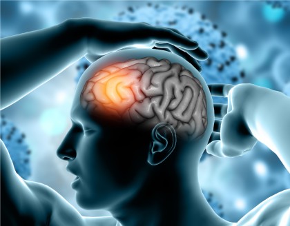 Interacțiunea activă a creierului cu sistemul imunitar pentru menținerea sănătății