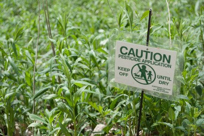 Asocierea dintre expunerea la pesticide și riscul de artrită reumatoidă la fermieri