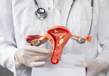 Cum influențează trăsăturile reproductive îmbătrânirea și riscurile pentru sănătate: o perspectivă genetică