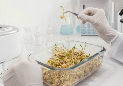 Dieta joacă un rol esențial în modelarea microbiomului intestinal și a sănătății