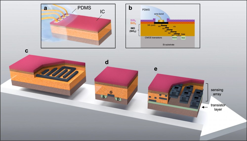 Creșterea longevității implanturilor neuronale prin utilizarea unui strat protector