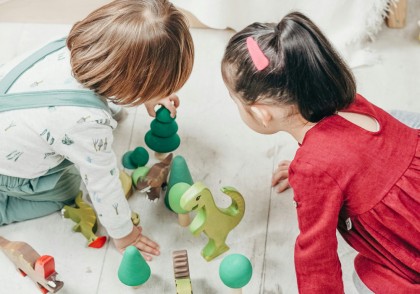 Studiu despre diferențele cerebrale timpurii între sexe