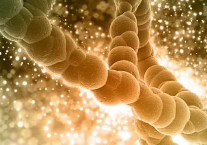 Studiu HKU: descoperirea proteinei PICH ca element-cheie în prevenirea rupturilor cromozomiale asociate cancerului