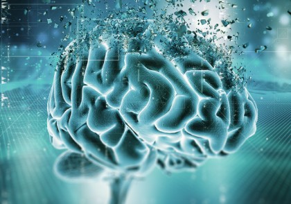 Efectele neuroprotectoare ale colecistokininei în creier: antioxidant, antiinflamator, cogniție și plasticitate sinaptică