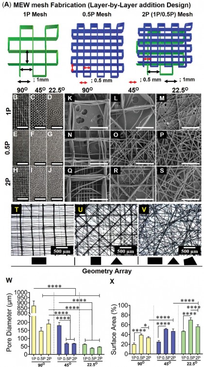 Rețelele 3D degradabile de ultimă generație oferă speranță pentru repararea prolapsului de organe pelvine