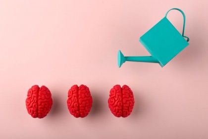 Hormonii de stres schimbă tipurile de neuroni din creierul în curs de dezvoltare, sugerează un nou studiu