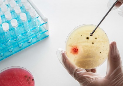 Terapia bacterienă împotriva cancerului