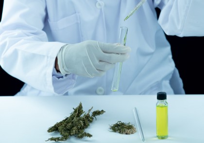 Nouă formă de cannabidiol (CBD) cu absorbție îmbunătățită: promisiune pentru tratamentul epilepsiei și bolilor neurodegenerative