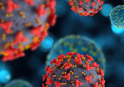 Infecția COVID-19 și declanșarea autoimunității: Noi dovezi privind rolul imitatorilor moleculari