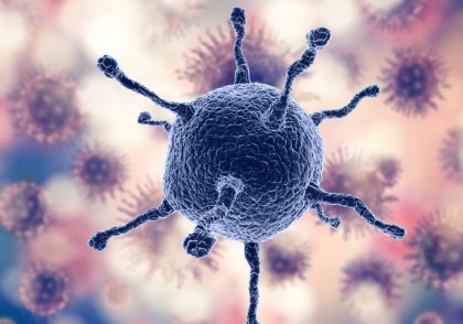 Virusul Zika și mecanismul său de evitare a sistemului imunitar: o nouă cale spre vaccinuri eficiente