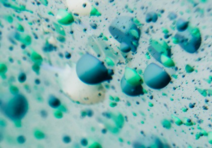 Hidrogel din gelatină de pește – noua promisiune în tratamentul bolilor de piele și regenerarea cutanată