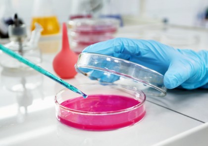 Zincul eliberat din sticla de laborator, o cauză ascunsă a eșecurilor în fertilizarea in vitro