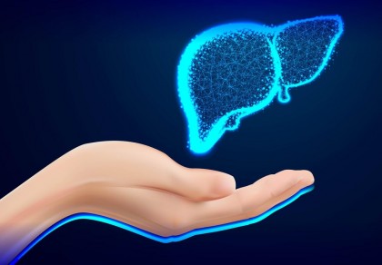 Organoizi hepatici funcționali obținuți din hepatocite umane adulte: un pas major în regenerarea ficatului