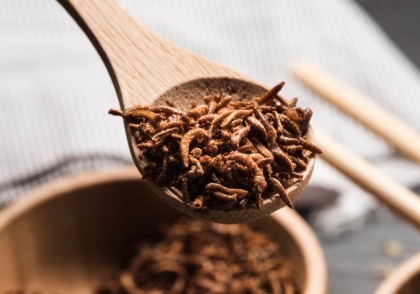 Produsele alimentare pe bază de insecte în Europa