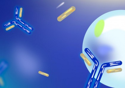 Anticorpi rigidizați pentru imunoterapie: o nouă strategie promițătoare în lupta împotriva cancerului