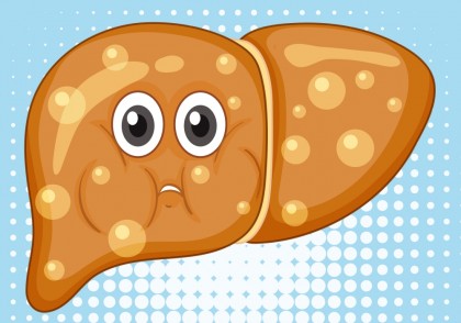 FGF21, hormonul care inversează steatohepatita metabolică: O nouă speranță terapeutică demonstrată în model animal