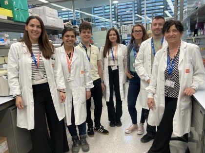 Un pas major către producția sigură de celule stem hematopoietice pentru medicină regenerativă