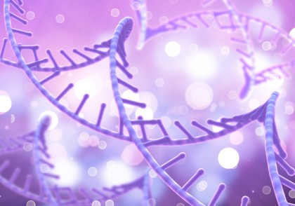 IC Clock: Un nou ceas epigenetic care măsoară funcționalitatea biologică și prezice mortalitatea