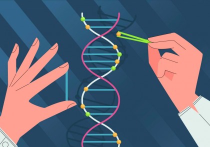 Editarea genetică CRISPR-Cas9 poate declanșa inflamație și senescență în celulele stem hematopoietice