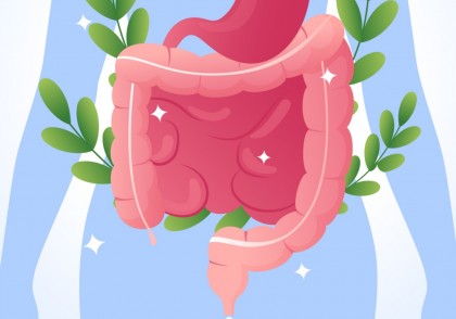 Pericole potențiale ale transplantului de microbiotă fecală: dovezi dintr-un studiu „omnibus” în mice și mostre umane