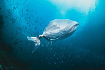 Microplasticele marine și bolile cardiometabolice: o posibilă legătură identificată în comitatele de coastă din Statele Unite
