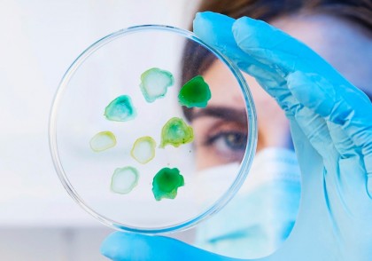 Producția de paracetamol ar putea fi revoluționată prin utilizarea deșeurilor de plastic PET