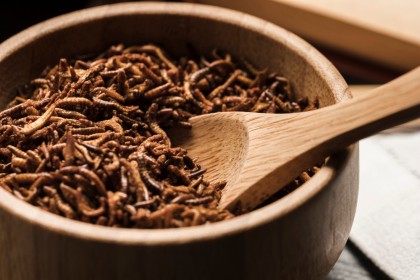 Insectele în alimentație: O soluție sustenabilă sau o promisiune nerealizabilă?