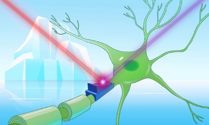 Întrerupătoare de lumină înghețate: Cum ar putea microbii arctici revoluționa neuroștiința
