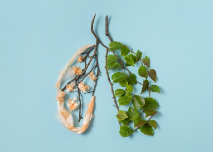 Microplasticele declanșează modificări legate de cancer în celulele pulmonare