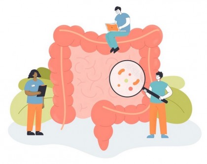 Un nou studiu descifrează „codul țesuturilor” - doar cinci reguli modelează organele