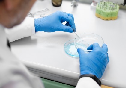 Terapia microbiană folosește bacterii modificate pentru a viza oxalatul din intestin