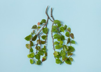 Îmbunătățirea sănătății respiratorii după închiderea unei uzine poluante