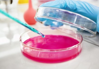 Viermii paraziți și sistemul nervos: cum Schistosoma mansoni „amorțește” pielea pentru a scăpa nedetectat