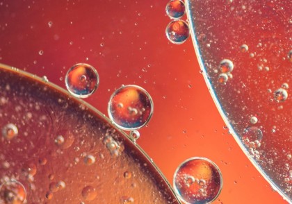 Cum răspund lizozomii la stres: descoperirea unei proteine-cheie cu potențial terapeutic