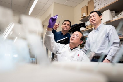 Midkine previne agregarea proteinelor implicate în boala Alzheimer