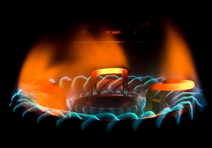 Expunerea la poluanți toxici precum petrolul brut și retardanții de flacără poate afecta generații întregi