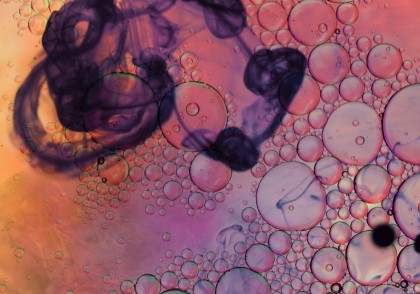 Catartocitoza – un nou proces de „curățare” celulară descoperit în regenerarea tisulară, cu posibile implicații în cancerul gastric