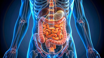 Săruri biliare - TUDCA și rolul acestora în susținerea digestiei