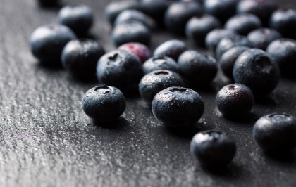 Pudra de afine administrată în diversificare stimulează diversitatea microbiomului intestinal la sugari