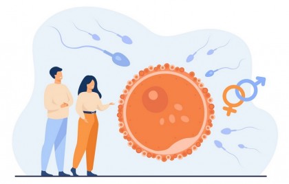 Suplimentele antioxidante nu îmbunătățesc fertilitatea masculină: rezultate ale studiului SUMMER