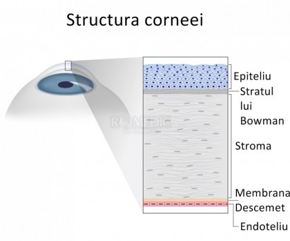 Corneele provenite de la donatori cu diabet s-au dovedit la fel de eficiente în intervențiile chirurgicale de restabilire a vederii