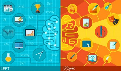 Conectivitatea funcțională: o „vedere de ansamblu” asupra organizării și activării creierului