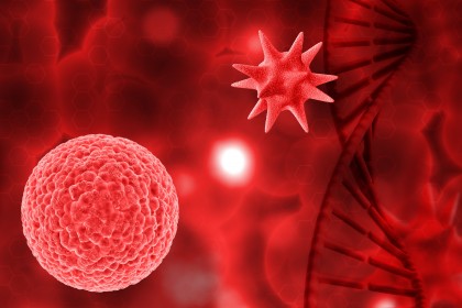 Structura genetică a Haemophilus influenzae și potențialul unui vaccin universal